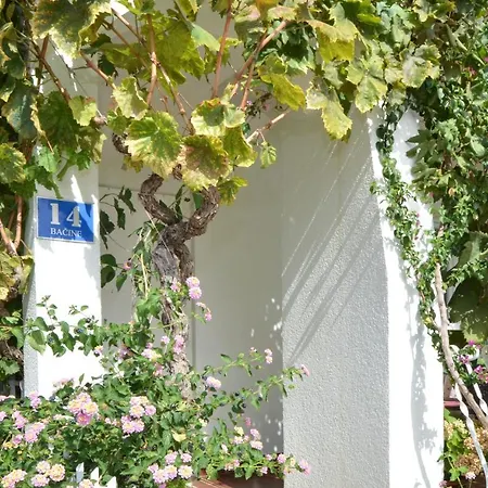 Nina Vinišće